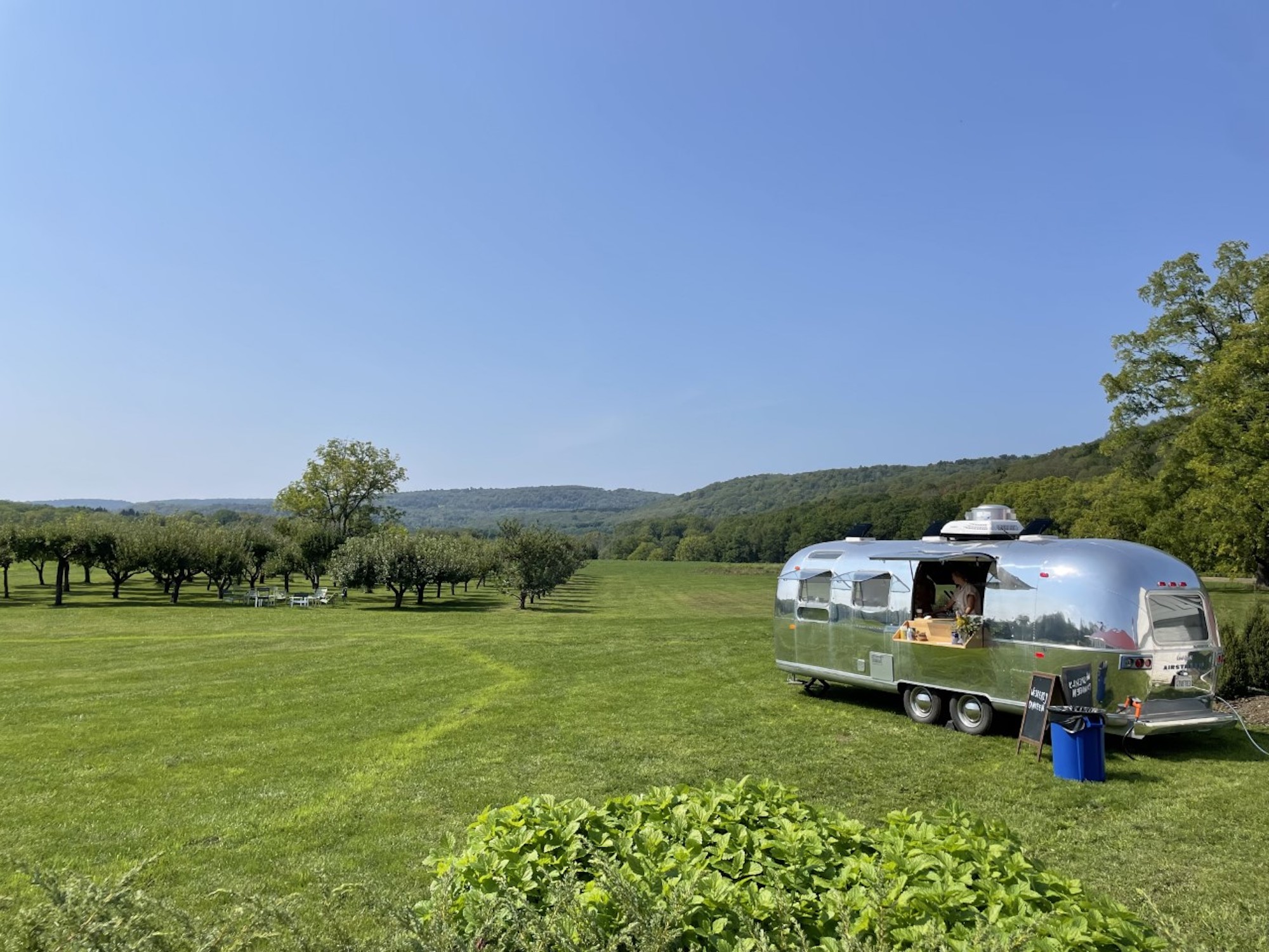 Airstream parked in an orchard